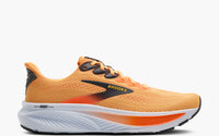 Brooks Ghost 17