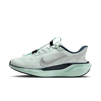 Nike Pegasus EasyOn
